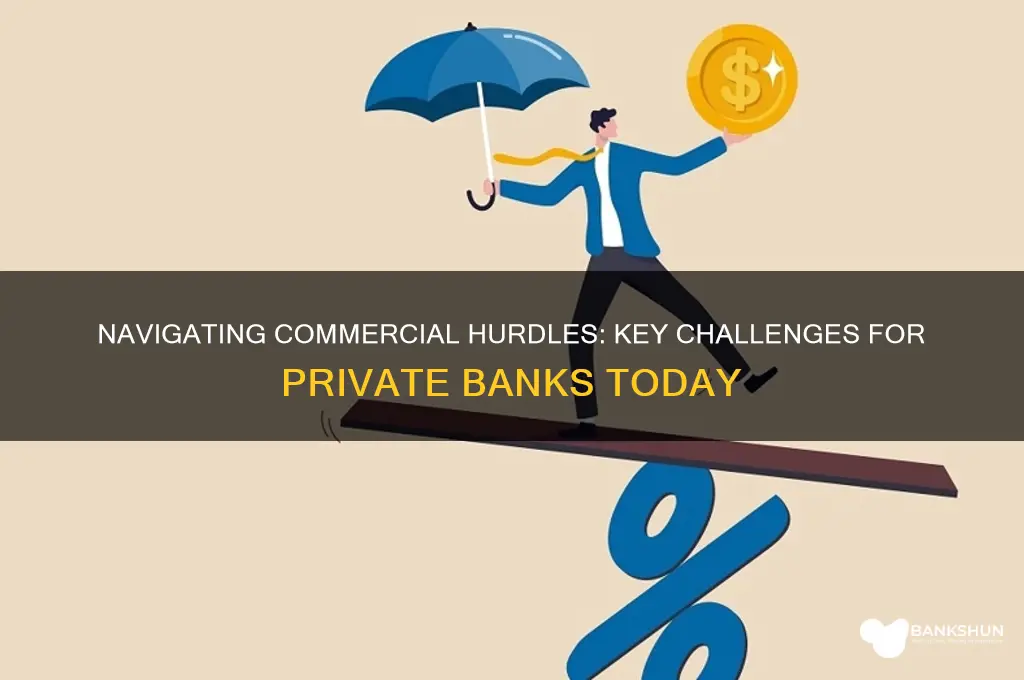 what commercial challenges do private banks face