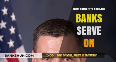 Jim Banks' Committee Roles: Exploring His Congressional Responsibilities