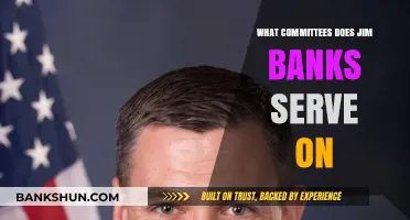 Jim Banks' Committee Roles: Exploring His Congressional Responsibilities and Impact
