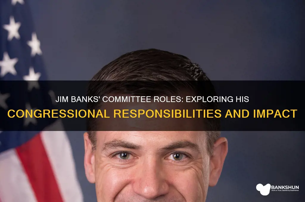 what committees does jim banks serve on