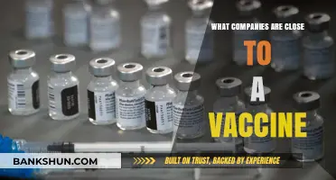 Leading Companies Racing to Develop a COVID-19 Vaccine: Latest Updates