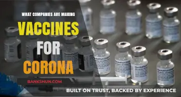 Leading Companies Developing COVID-19 Vaccines: A Comprehensive Overview