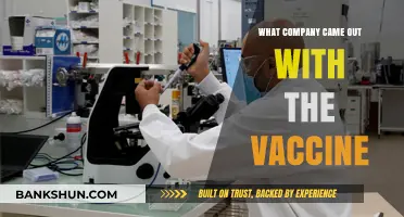 Which Pharmaceutical Giant Developed the Groundbreaking COVID-19 Vaccine?