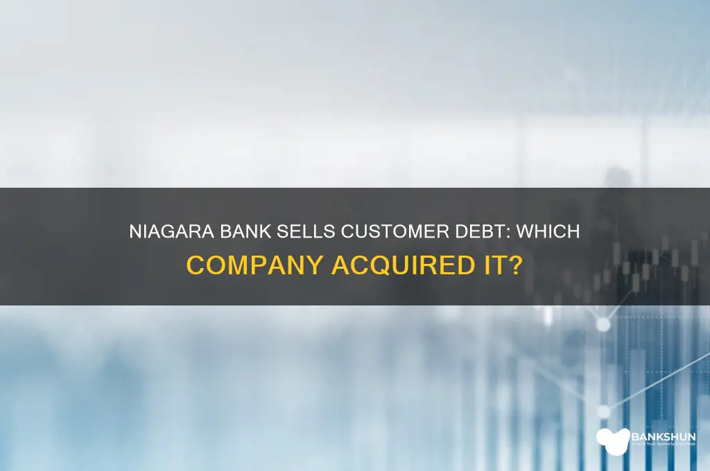 what company did niagara bank sell customerdebt