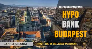 Which Financial Giant Acquired Hypo Bank Budapest? The Full Story