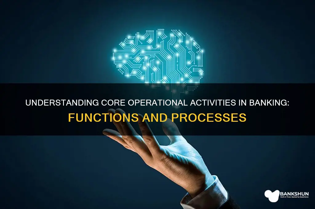 what constitutes operational activities in a bank