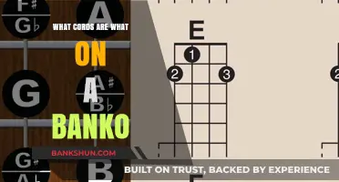 Understanding Banko Cords: A Comprehensive Guide to Their Functions and Uses