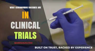 Exploring COVID-19 Vaccines: Clinical Trials and Promising Candidates