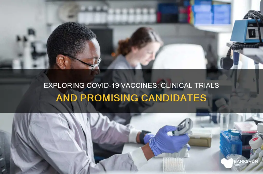 what coronavirus vaccines are in clinical trials