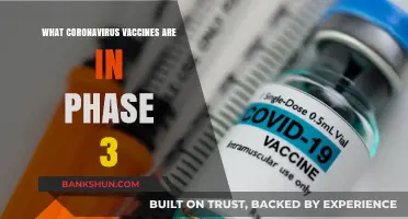 Latest Phase 3 Coronavirus Vaccines: Global Trials and Progress