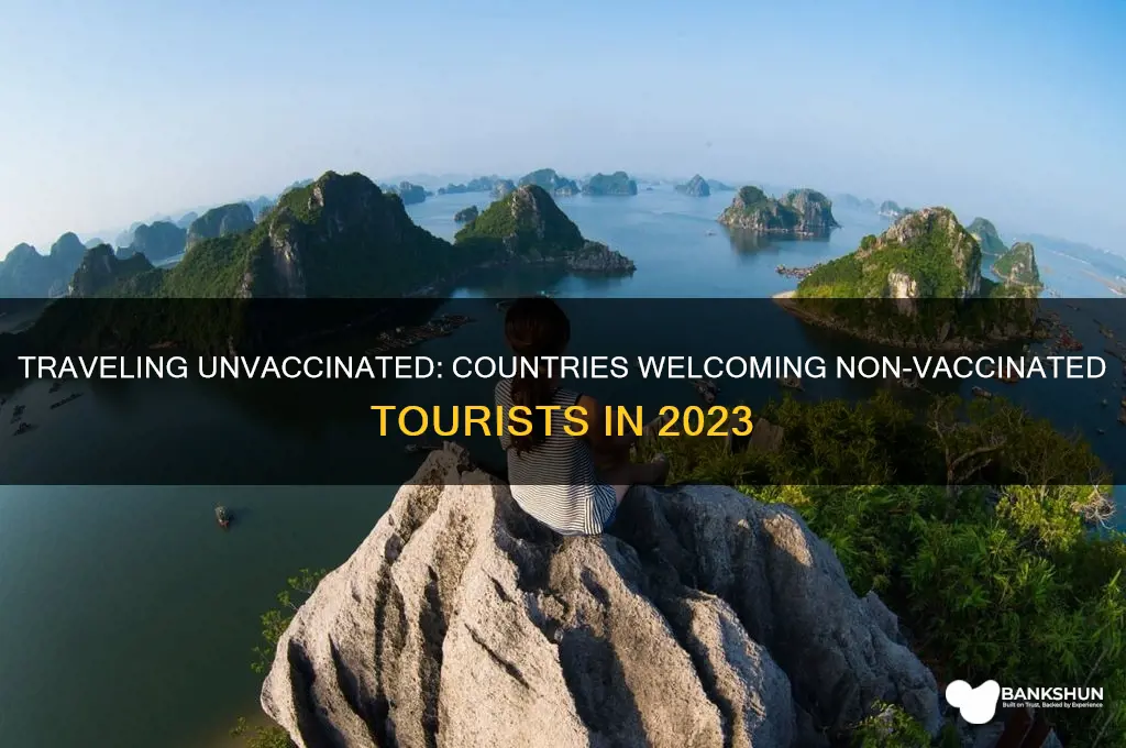 what countries are allowing non vaccinated tourists