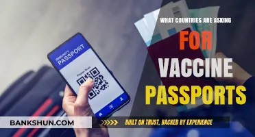 Global Vaccine Passport Requirements: Which Countries Are Implementing Them?