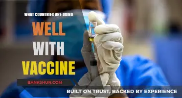 Global Vaccine Success Stories: Leading Countries in Immunization Efforts