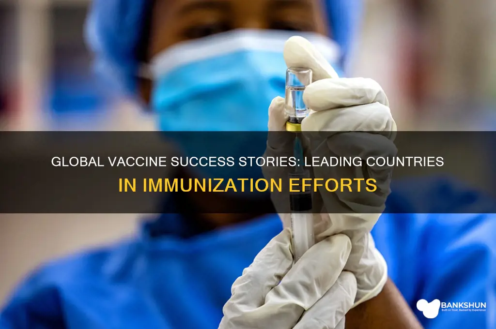 what countries are doing well with vaccine