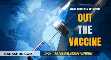 Global Vaccine Rollout: Which Countries Are Leading the Distribution?