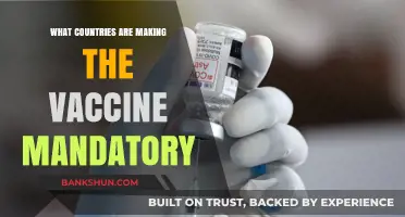 Global Vaccine Mandates: Which Countries Are Requiring COVID-19 Vaccination?