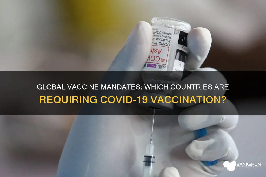 what countries are making the vaccine mandatory
