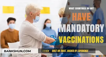 Exploring Nations Without Compulsory Vaccination Policies: A Global Overview