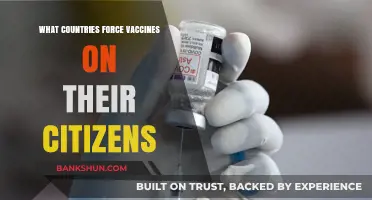 Global Vaccine Mandates: Which Nations Enforce Compulsory Immunizations?