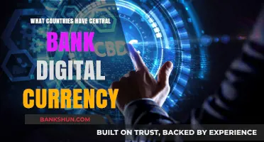 Exploring Nations with Central Bank Digital Currencies: A Global Overview