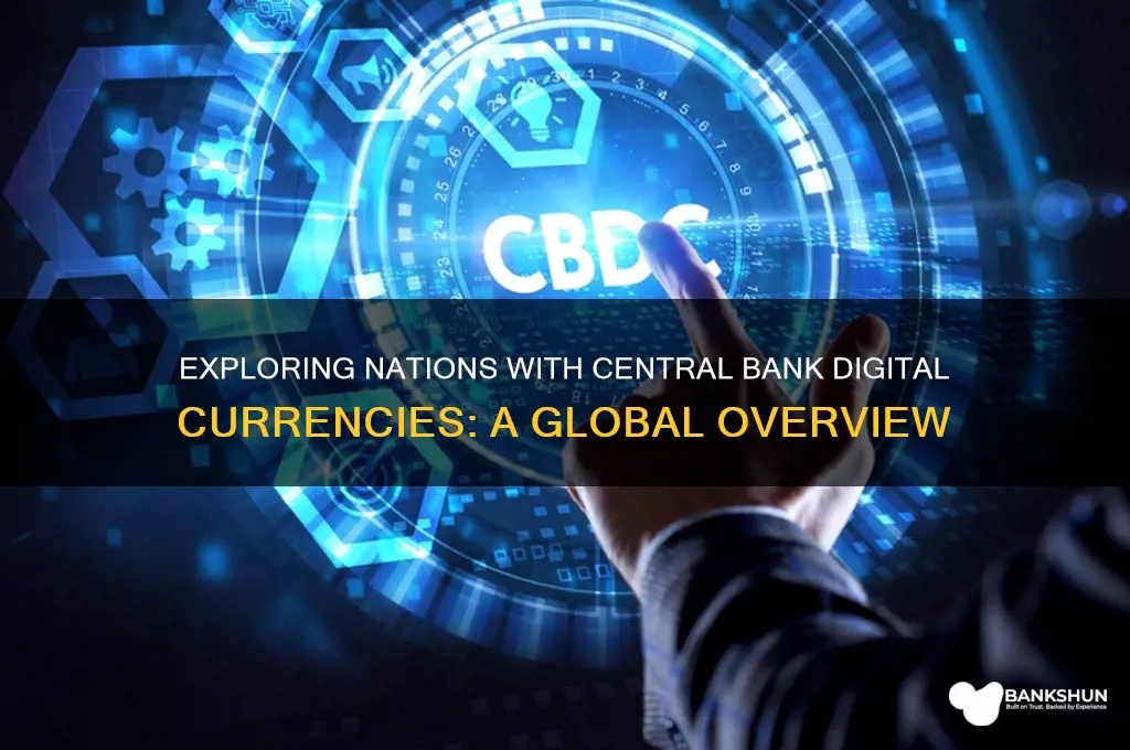 what countries have central bank digital currency