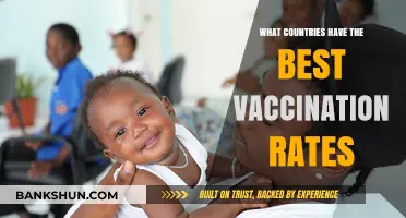 Global Vaccination Leaders: Top Countries with Highest Immunization Rates