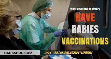 European Countries Requiring Rabies Vaccinations for Travelers and Locals