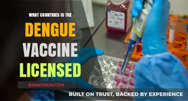 Global Dengue Vaccine Approval: Licensed Countries and Accessibility Overview