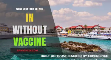 Traveling Unvaccinated: Countries Welcoming Visitors Without Vaccine Requirements