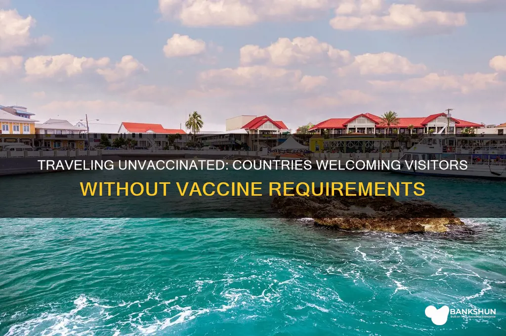 what countries let you in without vaccine