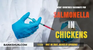 Global Poultry Health: Countries Vaccinating Chickens Against Salmonella