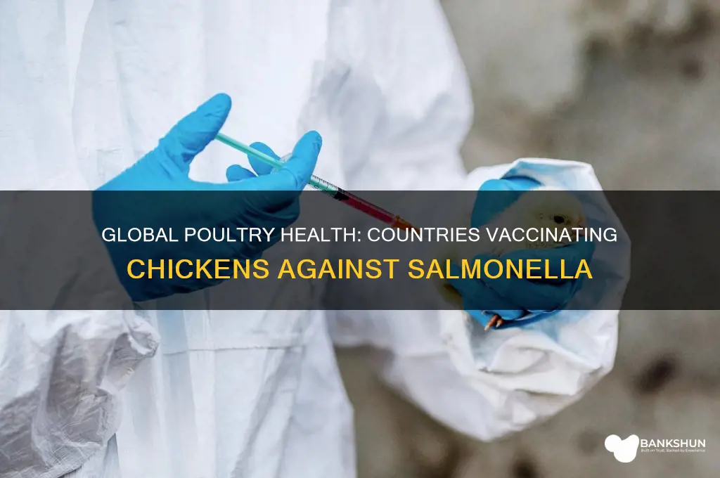 what countries vaccinate for salmonella in chickens