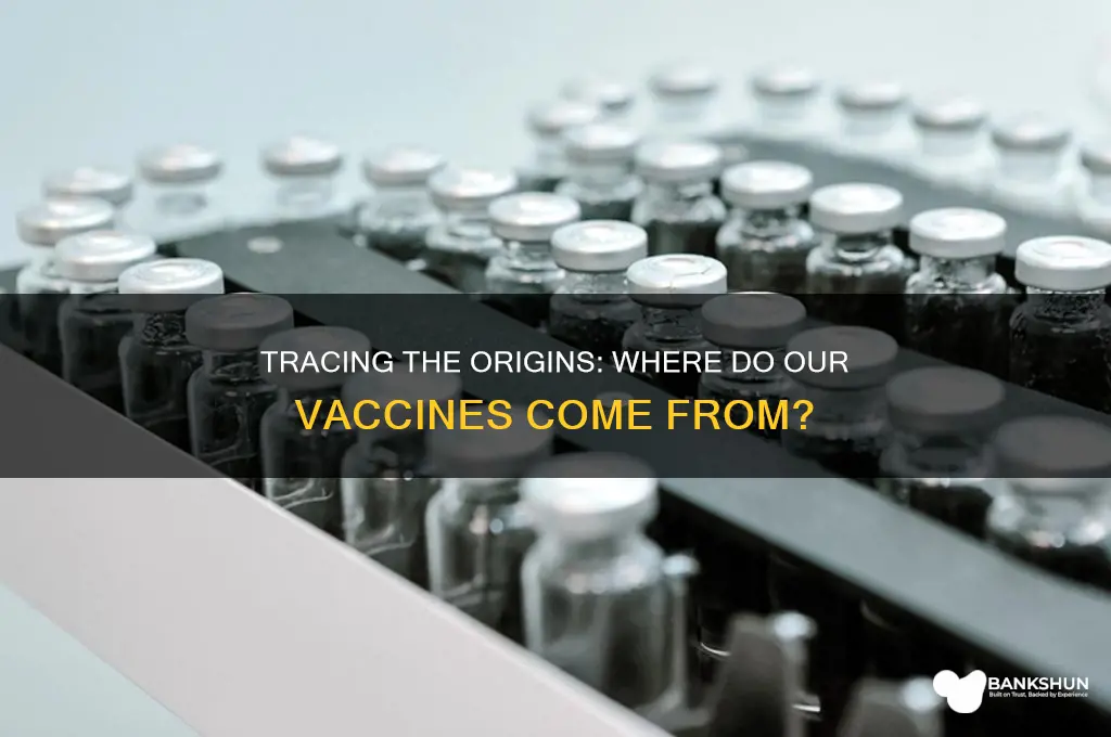 what country does our vaccines come from