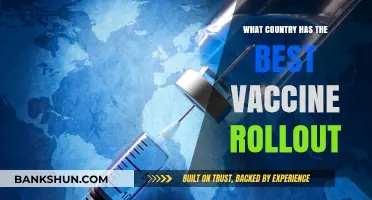 Global Vaccine Rollout: Which Country Leads in Efficiency and Reach?