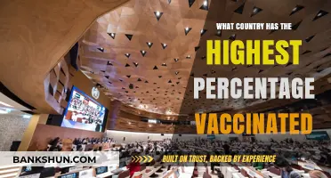 Global Vaccination Leader: Which Nation Tops the Immunization Charts?
