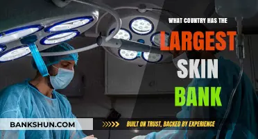 Exploring the Global Leader in Skin Banking: Which Country Tops?