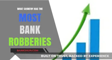 Global Heist Hotspots: Which Country Tops Bank Robbery Rates?