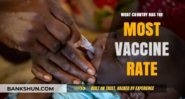 Global Vaccine Leaders: Which Country Tops Immunization Rates?