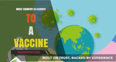 Global Race for COVID-19 Vaccine: Which Country Leads the Charge?