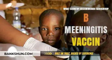 Which Country Recommends Serogroup B Meningitis Vaccine for Citizens?