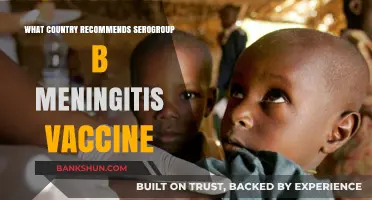 Which Country Recommends Serogroup B Meningitis Vaccine for Citizens?