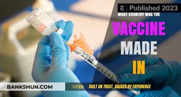 Global Origins: Tracing the Country Behind COVID-19 Vaccine Development
