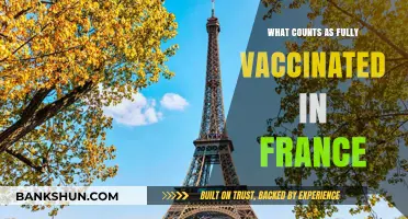 Understanding France's COVID-19 Vaccination Requirements: What's Fully Vaccinated?