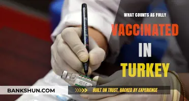 Understanding Turkey's COVID-19 Vaccination Requirements: What's Fully Vaccinated?