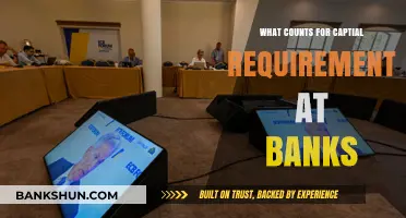 Understanding Bank Capital Requirements: What Qualifies and Why It Matters