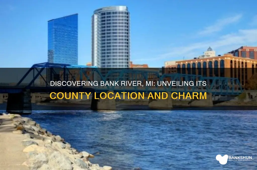 what county is bank river mi in