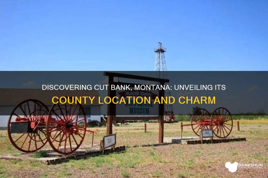 what county is cut bank montana in