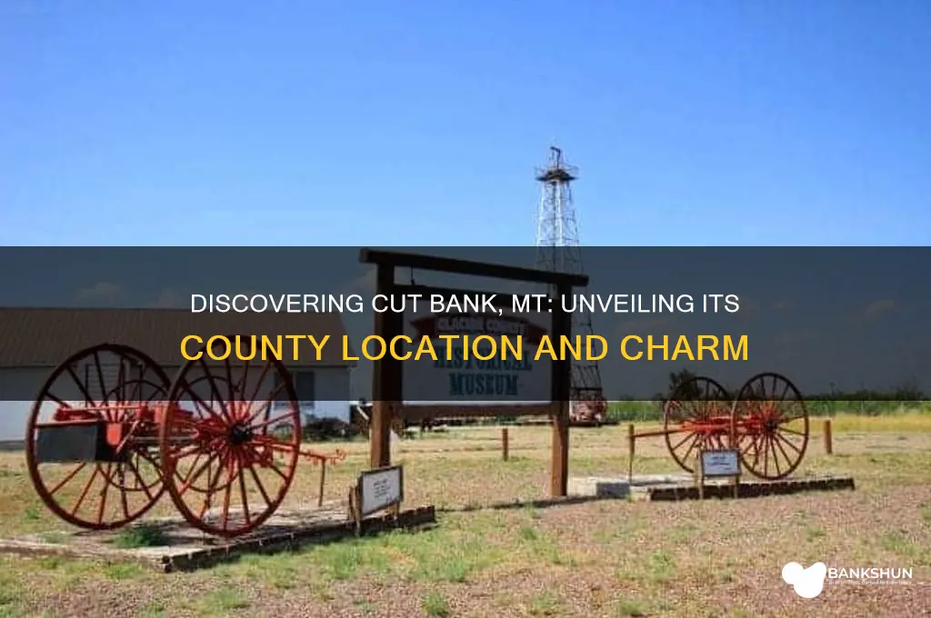 what county is cut bank mt in