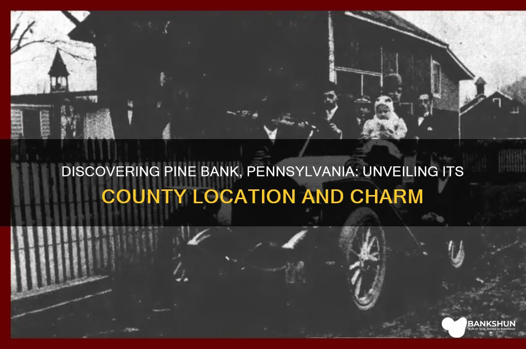 what county is pine bank pennsylvania in