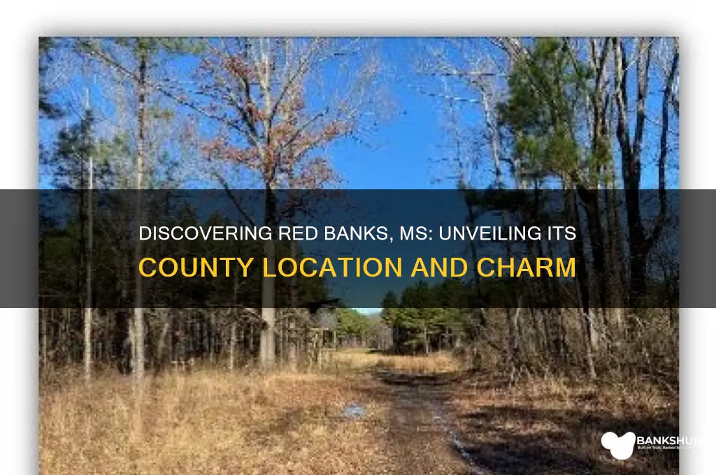 what county is red banks ms in